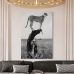 Quadro Decorativo Galeria Guepardo Savana Africana
